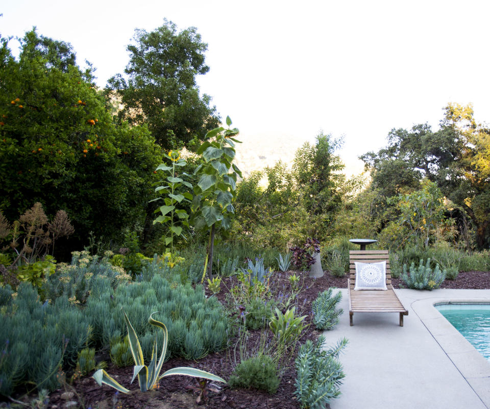 bark mulching in backyard in California