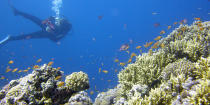 <b>Blue Hole, Egypt</b> Nicknamed by some as the “Diver’s Cemetery,” due to the desire of divers to reach the underwater “Arch” where the Blue Hole meets the Red Sea.