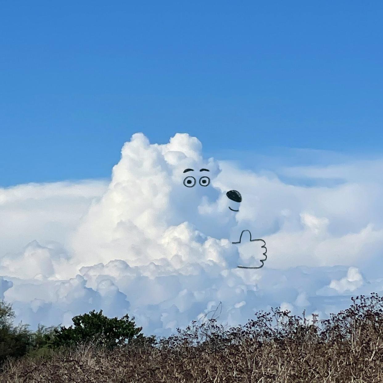 Cloud Babies rollout