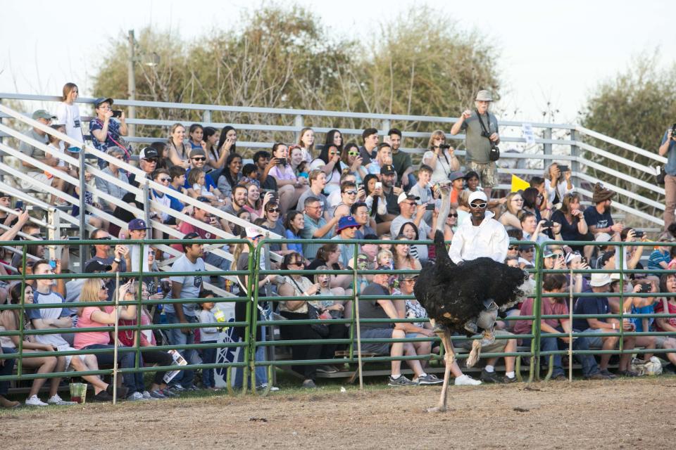 The Ostrich Festival at Tumbleweed Park in Chandler on March 10, 2017.