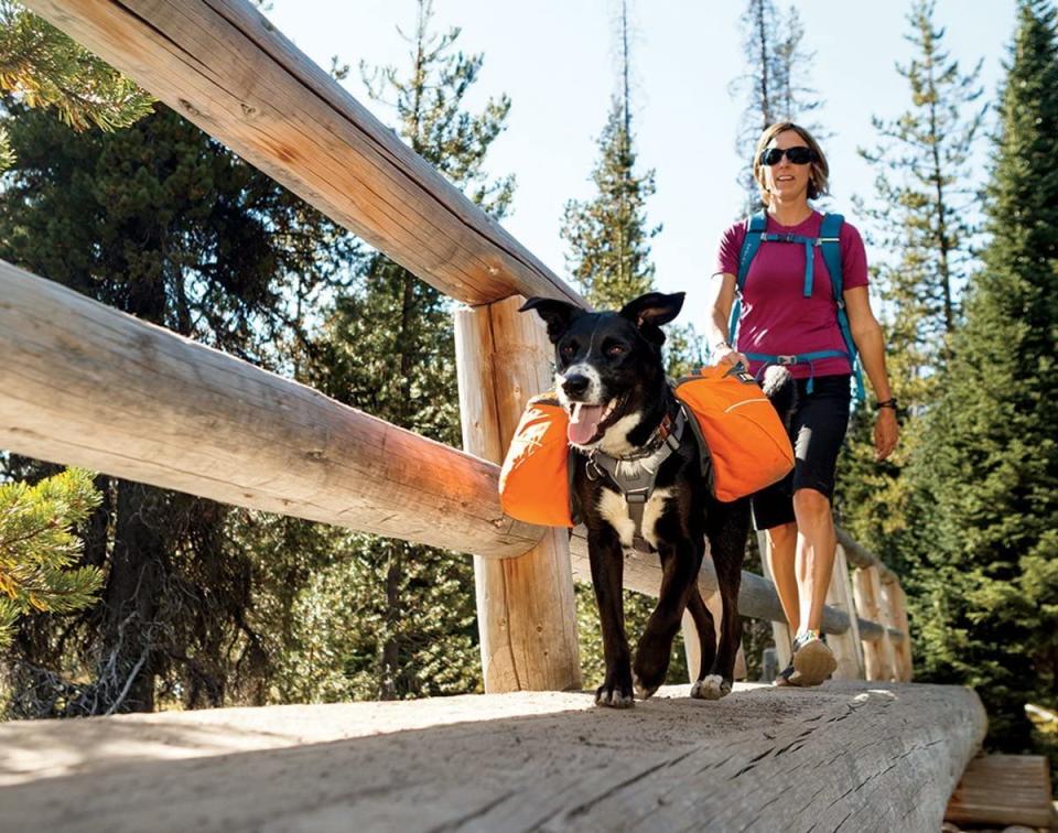 Ruffwear Approach Dog Pack