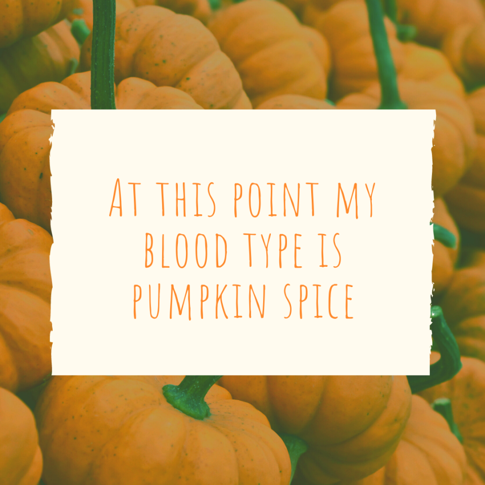 At this point my blood type is pumpkin spice | Pumpkin Patch Caption