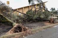 Fallen trees can be seen outside a damaged church in the town of Blyth, located north of Adelaide, after severe storms and thousands of lightning strikes knocked out power to the entire state of South Australia, September 29, 2016. AAP/David Mariuz/via REUTERS