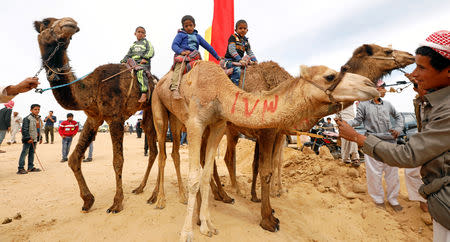 Jockeys, most of whom are children, wait at the starting line on the 18th International Camel Racing festival at the Sarabium desert in Ismailia, Egypt, March 12, 2019. Picture taken March 12, 2019. REUTERS/Amr Abdallah Dalsh