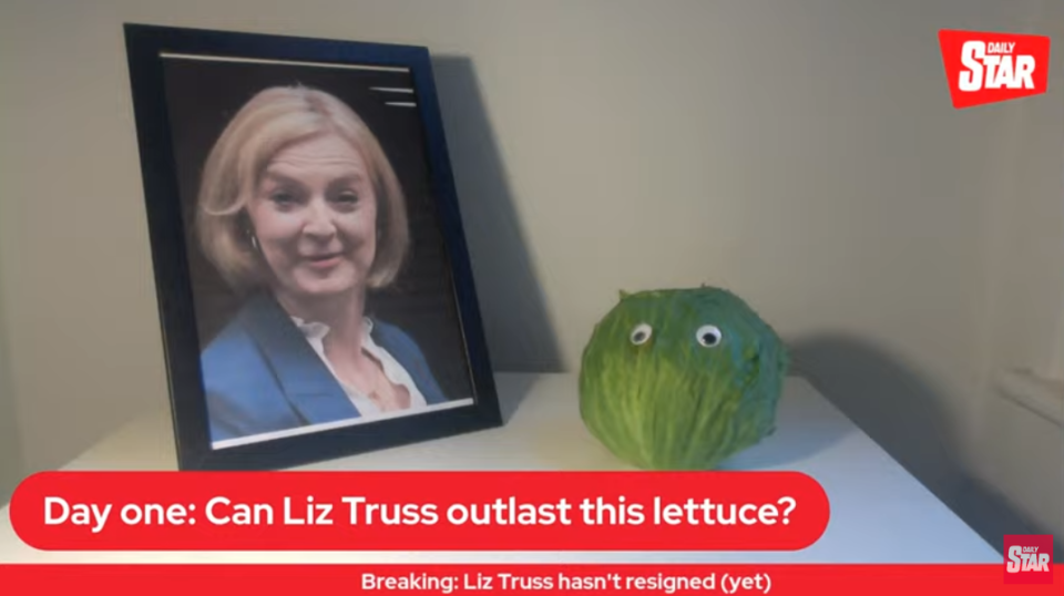 The Daily Star's livestream showing a picture of Liz Truss with a lettuce. (Daily Star/YouTube)