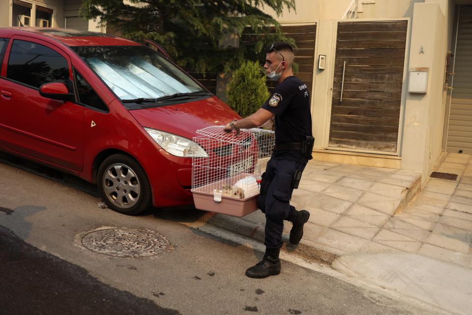 A policeman carries a rabbit from a house during a wildfire in Voula suburb, in southern Athens, Greece, Saturday, June 4, 2022. A combination of hot, dry weather and strong winds makes Greece vulnerable to wildfire outbreaks every summer. (AP Photo/Yorgos Karahalis)