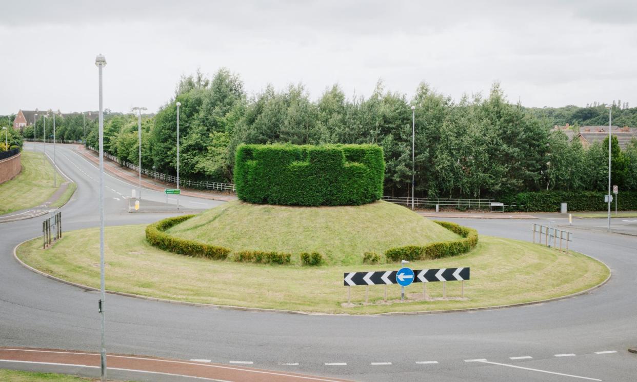 <span>‘What could be a more fitting symbol of British suburbia?’ … photographer Gareth Gardner was transfixed by this hedge in Cheshire.</span><span>Photograph: Gareth Gardner</span>