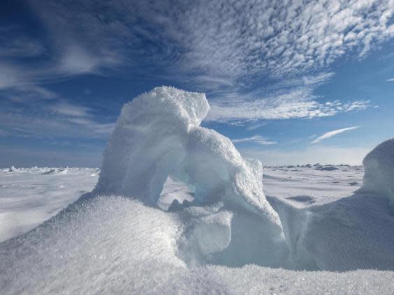 Hoarfrost and sea ice formations in the Arctic Ocean (Bonnie Jo Mount)