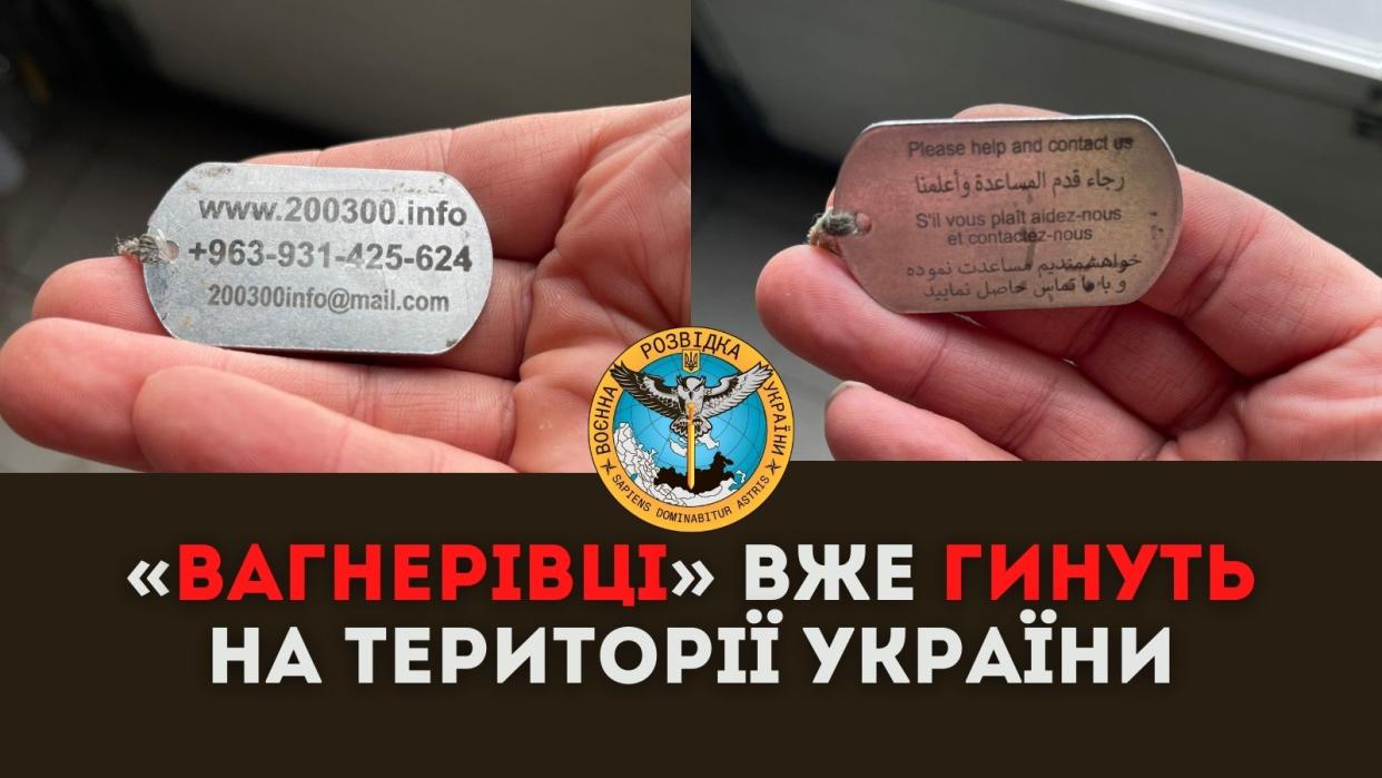 Two images of a dog tag held by someone's hand show both sides, which read, alongside writing in foreign languages: www.200300.info +936-931-425-624 200300info@mail.com Please help and contact us.