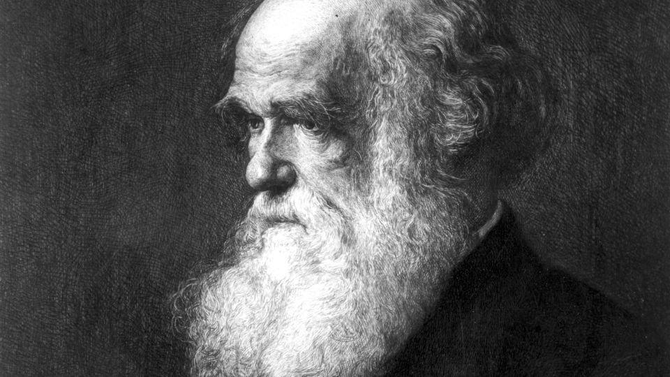 Charles Darwin is depicted circa 1880 in a painting by Walter William Ouless. - Rischgitz/Hulton Archive/Getty Images