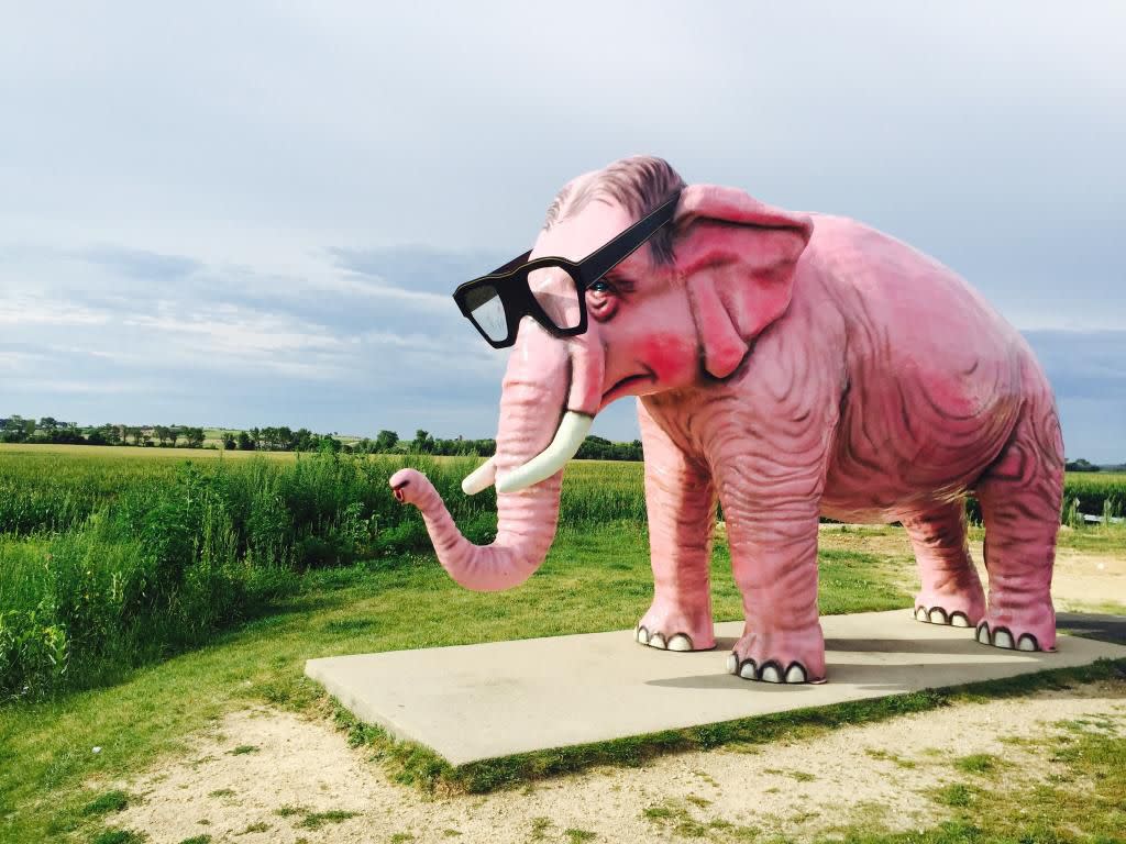 Wisconsin: Pinkie the Elephant