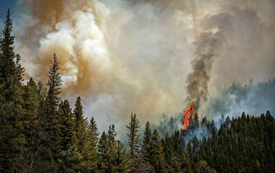 Fire rages along a ridgeline east of highway 518 near the Taos County line as firefighters from all over the country converge on Northern New Mexico to battle the Hermit's Peak and Calf Canyon fires on May 13.