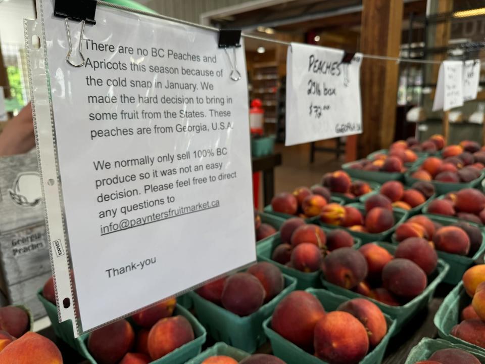 Fruit sellers are trucking in peaches from the U.S. this summer as there are no Okanagan-grown peaches available to line their market shelves.