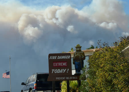 A Smokey Bear sign is seen along PCH as smoke from the Woosley Fire is seen as it approaches Malibu, California, U.S. November 9, 2018. REUTERS/Gene Blevins