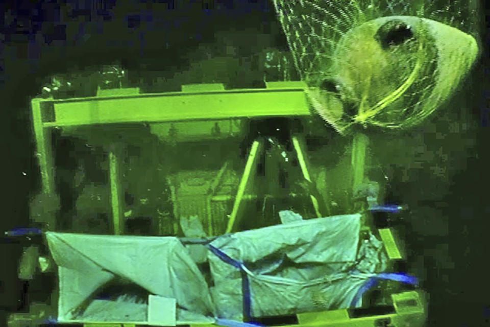 This photo made from video released by Israel's Antiquities Authority (IAA) on Thursday, June 20, 2024 shows a Canaanite jar being retrieved by a robot from a depth of 1.11 miles (1.8 kilometers) that was carried on the world's oldest known deep-sea ship, as seen some 55.9 miles (90 kilometers off of the Israeli coastline.. A company drilling for natural gas off the coast of northern Israel discovered a 3,300-year-old ship and its cargo, one of the oldest known examples of a ship sailing far from land, the Israel Antiquities Authority said on Thursday. (Energean/ Israel Antiquities Authority via AP)