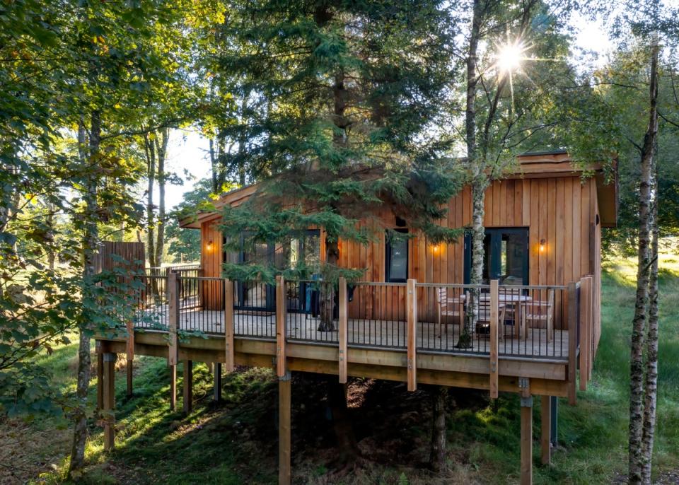 A front view of the Pipit treehouse (The Treehouses at Lanrick)