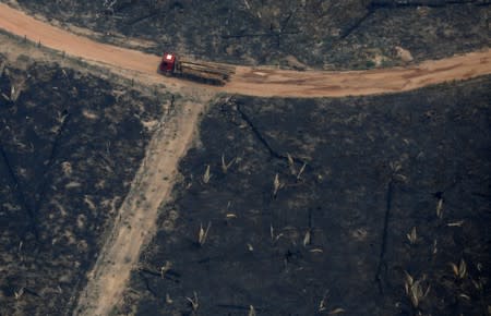 An aerial view of a deforested plot of the Amazon in Boca do Acre