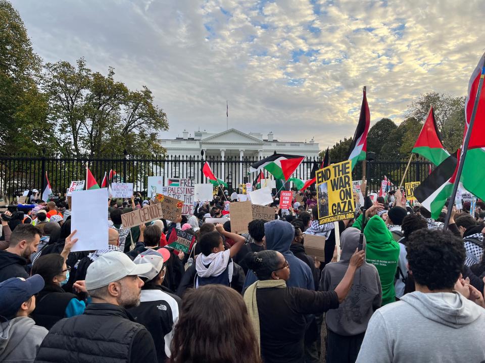 Pro-Palestinian protesters wave flags and signs outside the White House in Washington, DC.