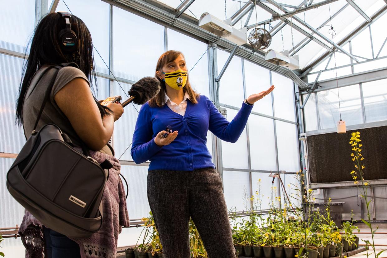 Rebecca Mosher, an associate professor at the University of Arizona School of Plant Sciences, talks to Arizona Republic audio producer Alexandra Watts in a greenhouse on the roof of a parking structure in Tucson, Ariz., on Wednesday, Dec. 1, 2021. Mosher is part of a team that will use robots and other sensing technology to "talk" to plants and develop new sustainable agriculture methods.