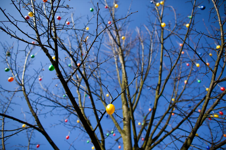 HOYERSWERDA, GERMANY - MARCH 24: Painted Easter eggs in traditional Sorbian motives hang in the tree at the annual Easter egg market on March 24, 2012 in Schleife, near Hoyerswerda, Germany. Easter egg painting is a strong part of Sorbian tradition and visual elements within the painting are meant to ward off evil. Sorbians are a Slavic minority in eastern Germany and many still speak Sorbian, a language closely related to Polish and Czech. (Photo by Carsten Koall/Getty Images)