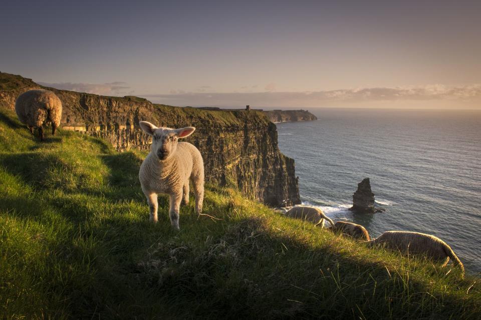 irish blessings walls