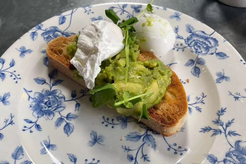 Avocado on toast served with poached eggs