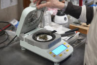 Dried hemp is tested for humidity in a lab at Hepworth Farms in Milton, N.Y., Monday, April 12, 2021. Farmers dealing with depressed prices for plants that produce CBD extract are eager to take part in a statewide marijuana market expected to generate billions of dollars a year once retail sales start. They already know how to grow and process cannabis plants, since hemp is essentially the same plant with lower levels of THC, marijuana's active ingredient. Now they're waiting on rules that will allow them to switch seeds. (AP Photo/Seth Wenig)