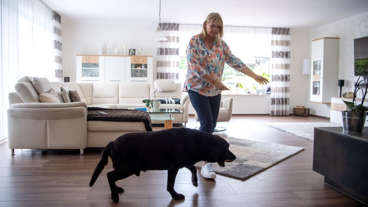 Claudia Kasig trainiert regelmäßig mit Bettwanzenspürhund Jamiro die Suche nach den Schädlingen.