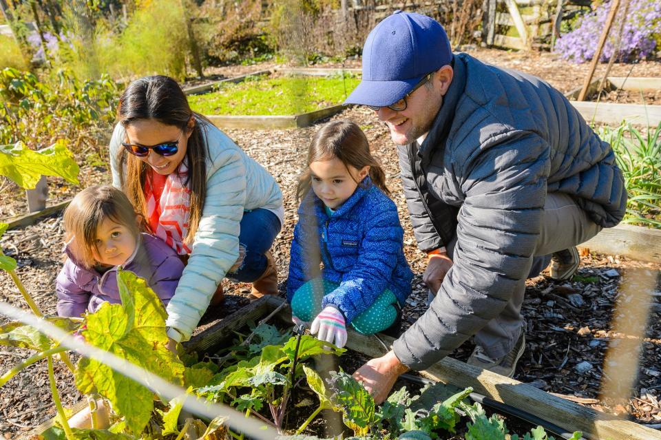 Lexi, Joyce, Lana and Adam Cook look at a gourd in the organic garden at the Fall Harvest Festival at Roper Mountain Science Center in Greenville, S.C., on Nov. 10, 2018.