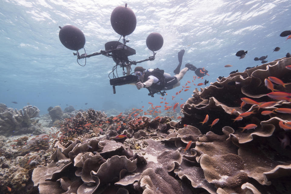 Scientist Steve Simpson uses a multidirectional hydrophone to record the sounds of the reef. Scientists have recently discovered that many fish on the coral reef rely on sound at key stages in their life — and that manmade noise is interfering with this. (Photo: Roger Munns/BBC)