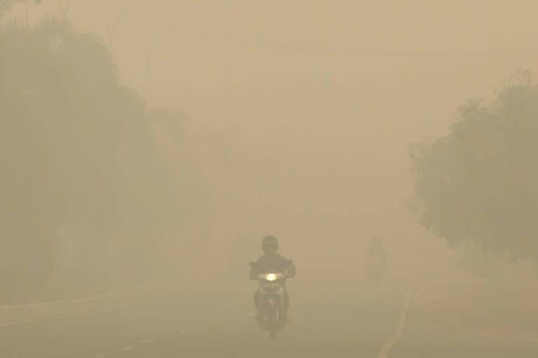 Persistent smog has afflicted large swathes of Southeast Asia for weeks, sparking health alerts, numerous school shutdowns and affecting flights