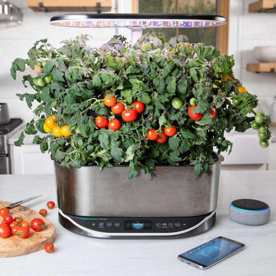 This undated photo provided by AeroGarden shows one of the company's indoor growing systems, the AeroGarden Bounty Elite. High-tech growing systems are bringing the joy of gardening even to those without light, know-how or outdoor space. And that's a nice thing in the age of the coronavirus. (AeroGarden via AP)