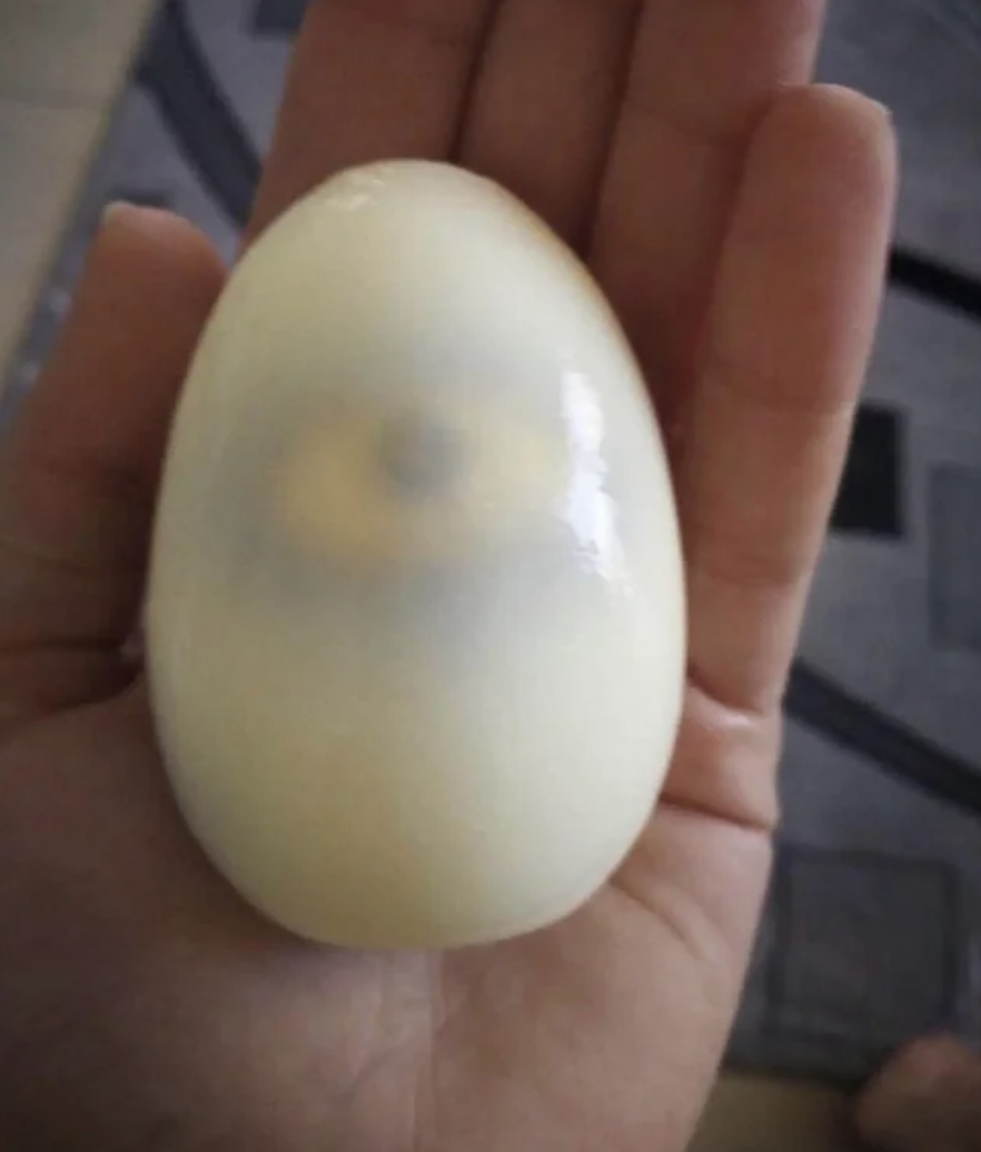 An eye on an egg