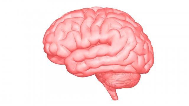 <strong>血腦屏障結構與其他部位不太一樣，為一層層結構，為了防止外部東西進入腦中。（示意圖／photo AC）</strong>