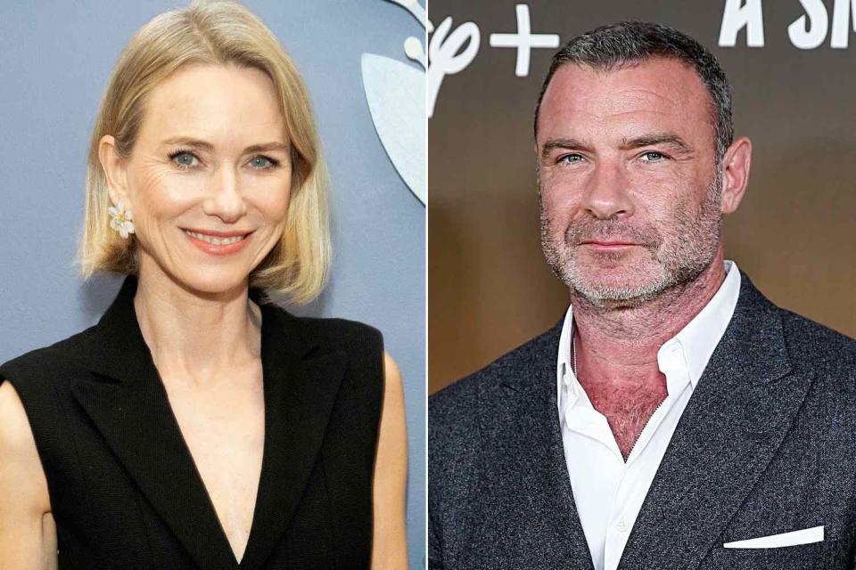 <p>Michael Ostuni/Patrick McMullan via Getty Images; Dominik Bindl/Getty Images</p> Naomi Watts and ex-partner Liev Schreiber 