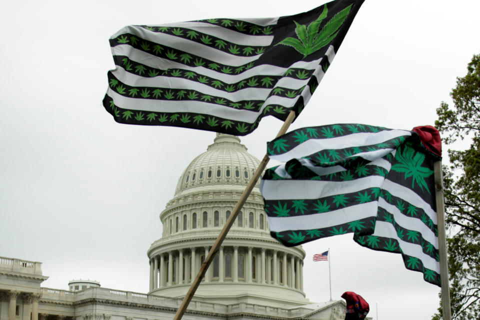 Marijuana flags are seen as protesters gather to smoke marijuana on steps of the U.S. Capitol to tell Congress to "De-schedule Cannabis Now" in Washington, U.S. April 24, 2017. REUTERS/Yuri Gripas