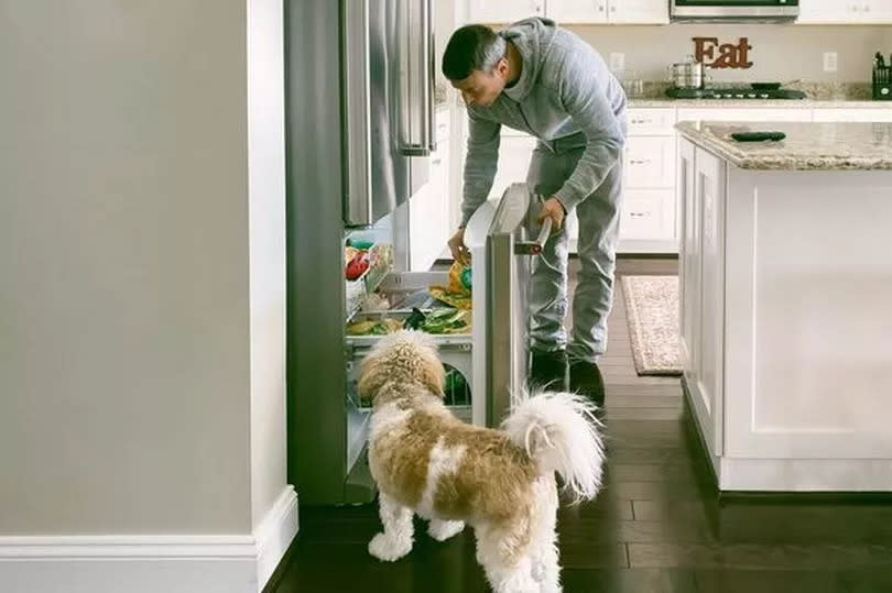 Man Looks for Food in Fridge While Pup Looks On