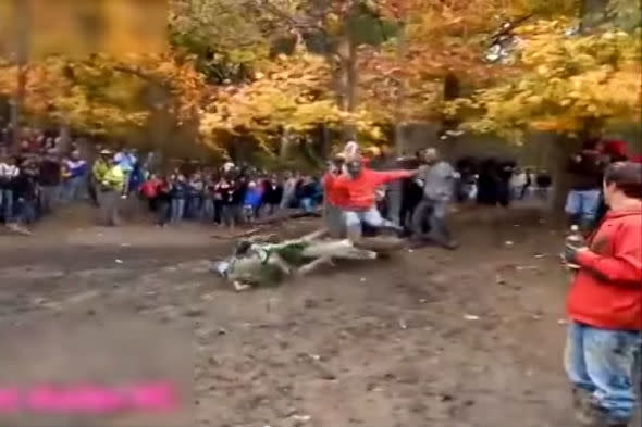 Dirt biker crashes into tree as onlooker jumps out of the way