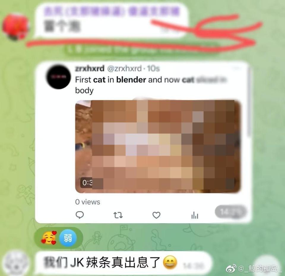 徐志輝再度虐貓。（翻攝自微博）