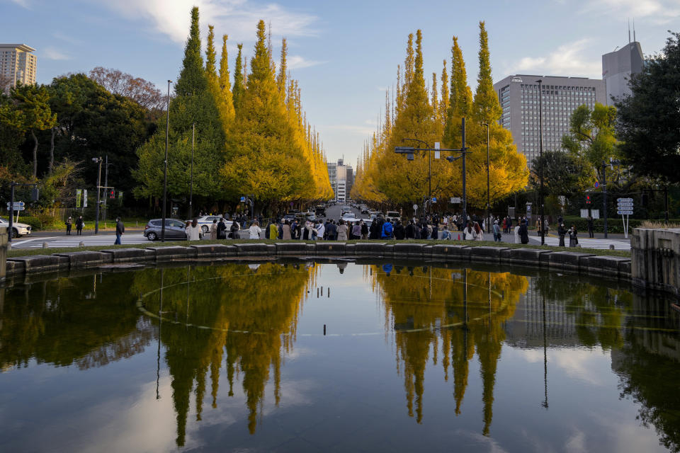 People wearing protective masks to help curb the spread of the coronavirus walk through the row of ginkgo trees along a sidewalk as the trees and sidewalk are covered with the bright yellow leaves Monday, Nov. 29, 2021, in Tokyo. (AP Photo/Kiichiro Sato)