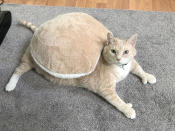 <p>This feline could be mistaken for a real-life Garfield — he weighs a staggering 33 pounds. (Photo: Caters News) </p>