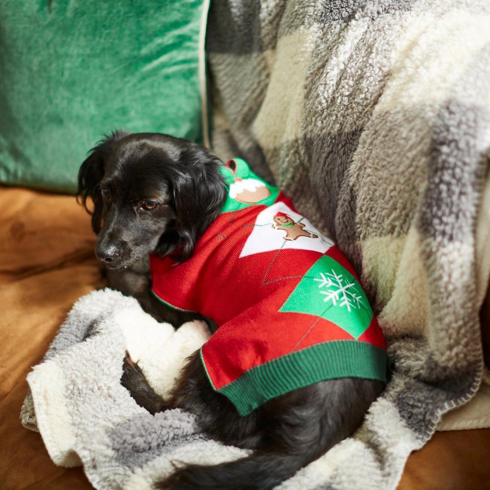 10) Frisco Holiday Argyle Dog & Cat Christmas Sweater