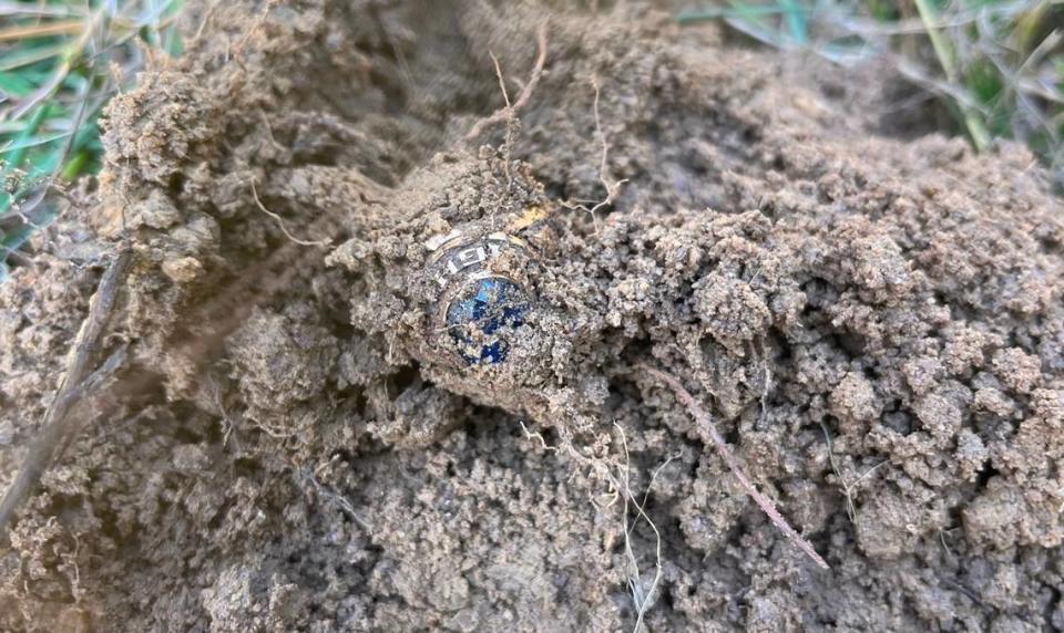 The first sighting of Ellis Von Cannon’s lost class ring since 1989.