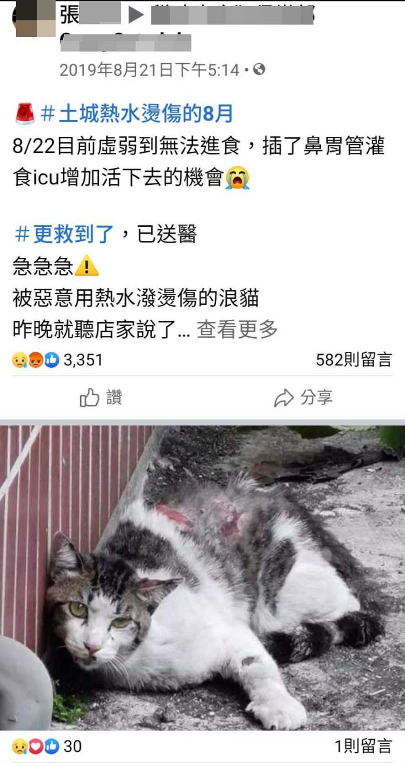 張姓愛媽常在各種流浪動物的社團貼出求助訊息，希望有善心民眾可以伸出援手。（圖／翻攝臉書）