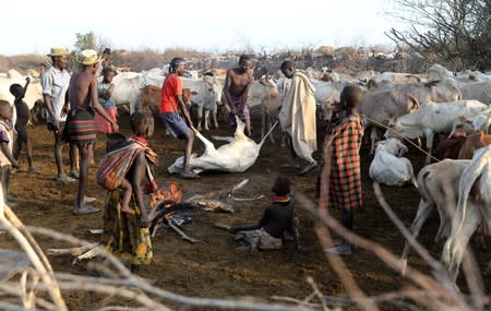 The Wider Image: When raiders menace in northern Kenya, grab your guns