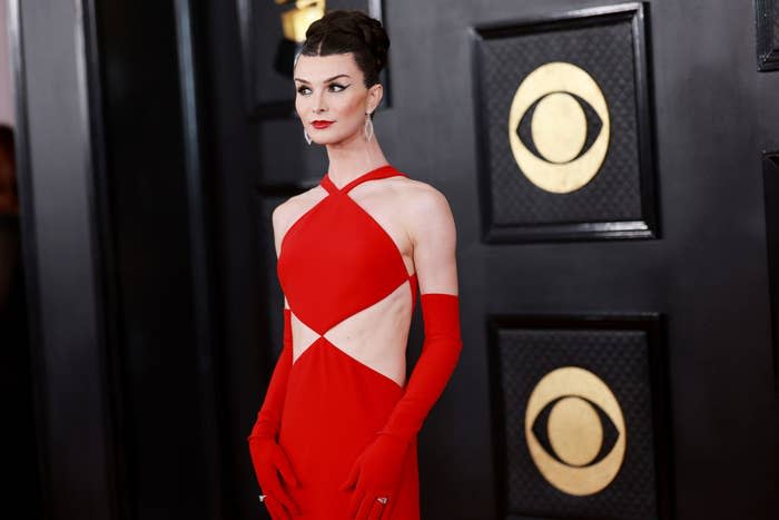 Dylan standing on the Grammys red carpet as photographers take her photo