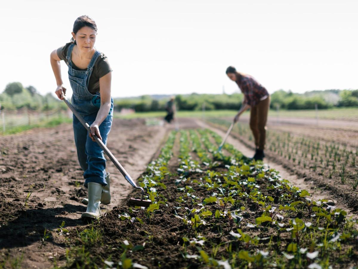 USDA says it'll continue to fight to pay off loans for Black farmers