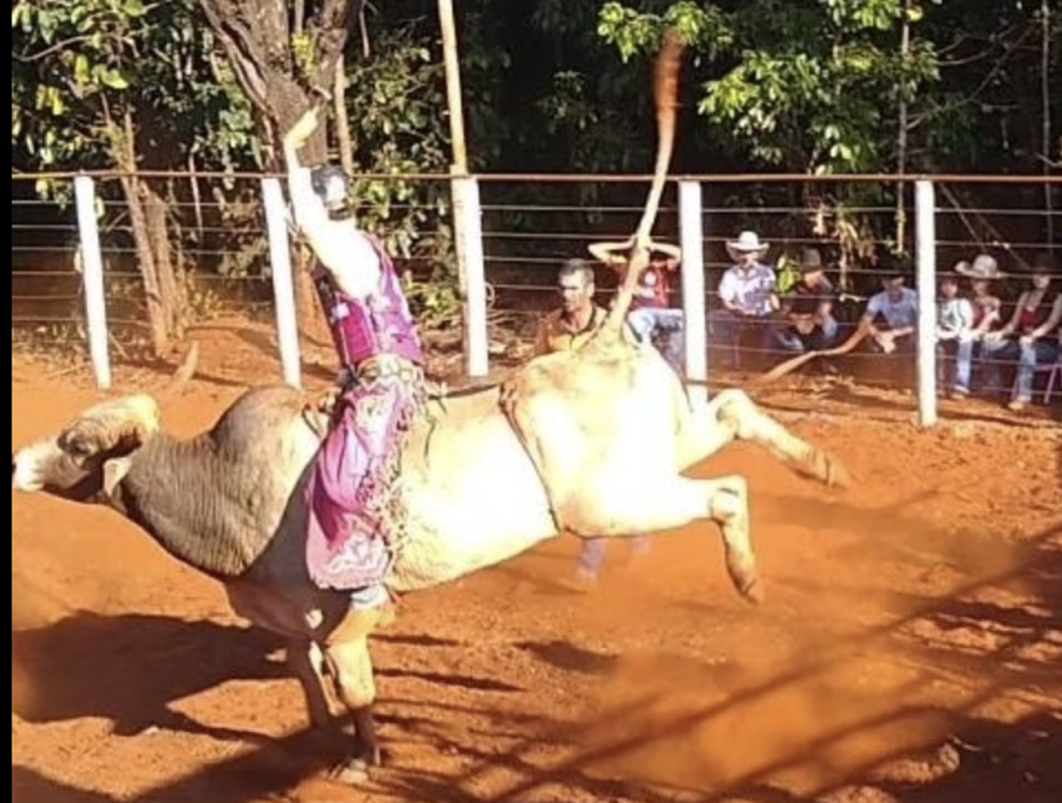 Mr Castilho became a bull riding aficionado at a young age (Thiago Castilho/Facebook)