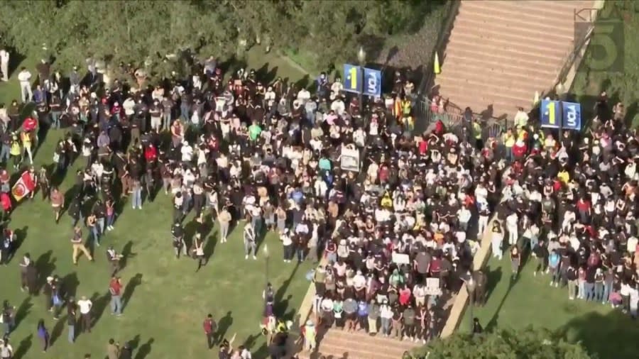 A large encampment of pro-Palestinian protestors gathered on the UCLA campus on May 1, 2024. (KTLA)