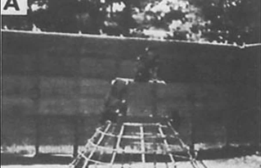 Estructura de metal en forma de cono en el patio de los chimpancés | Branch, Jane E., y Deborah A. Gust. American Journal of Primatology, (1986)